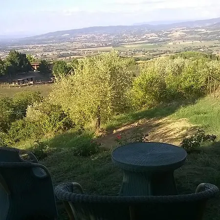 Sweet Olive Trees 빌라 *