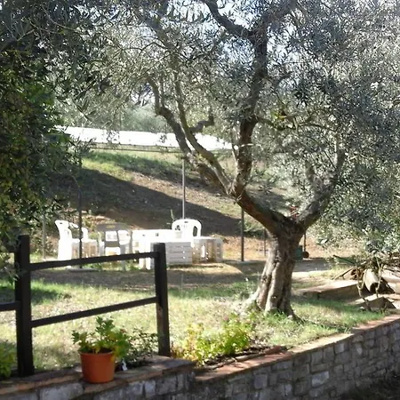 빌라 Sweet Olive Trees